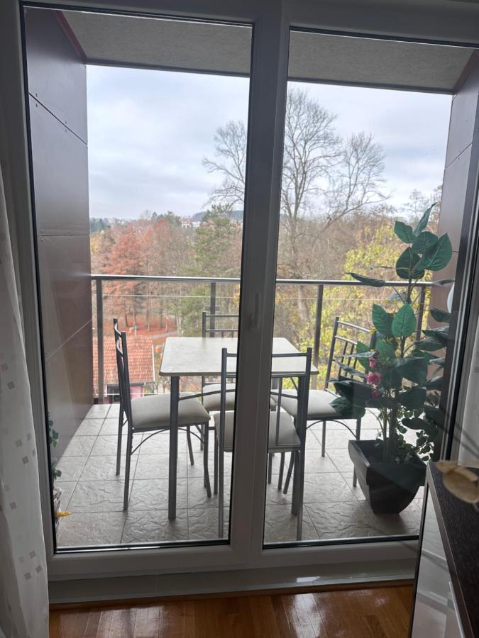 Apartman Floresta - In Front Of Japanese Garden, Enchanting Nature View, Spotless And Cozy Vrnjačka Banja Kültér fotó